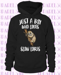 Just A Boy Who Loves Slow Lories Pullover Hoodie Animal Gift