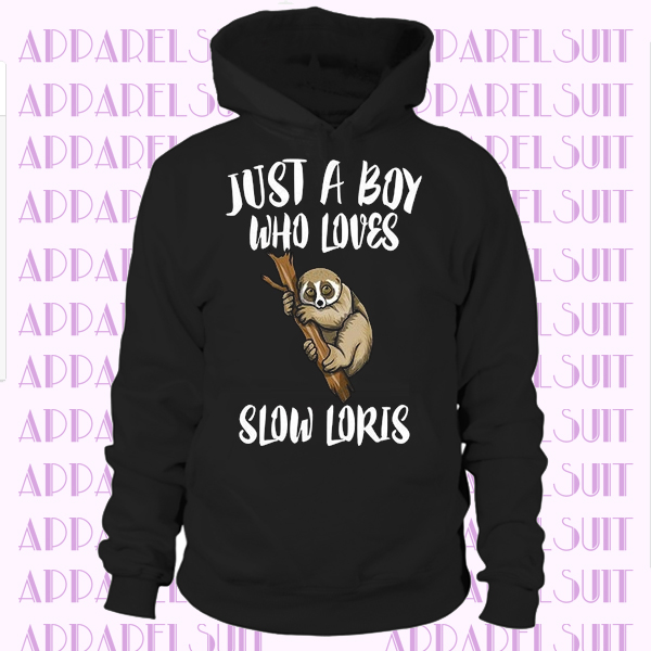 Just A Boy Who Loves Slow Lories Pullover Hoodie Animal Gift