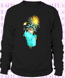 Statue Of Liberty Cat Kitten Fireworks T Shirt July 4th