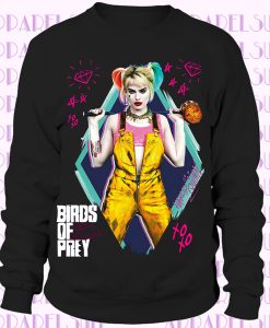 Birds of Prey 2020 Harley Quinn DC Comics American Superhero