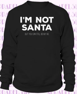 Joke Xmas Sweatshirt