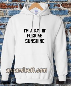 im a ray of fucking sunshine Hoodie