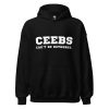 Bang Chan CEEBS Can't Be Bothered Hoodie